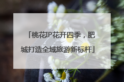 桃花IP花开四季，肥城打造全域旅游新标杆