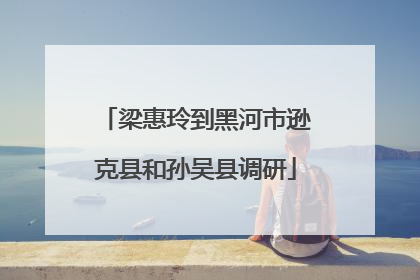 梁惠玲到黑河市逊克县和孙吴县调研