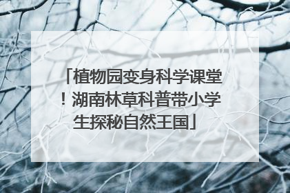 植物园变身科学课堂！湖南林草科普带小学生探秘自然王国