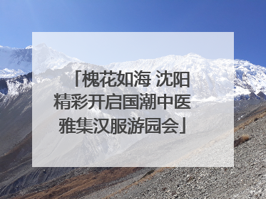 槐花如海 沈阳精彩开启国潮中医雅集汉服游园会