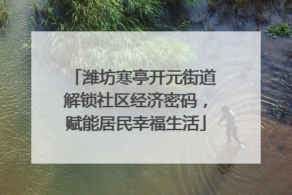 潍坊寒亭开元街道解锁社区经济密码，赋能居民幸福生活