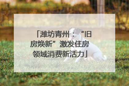 潍坊青州：“旧房焕新”激发住房领域消费新活力