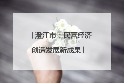 澄江市：民营经济创造发展新成果