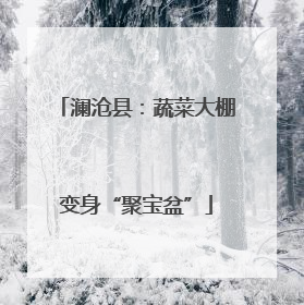 澜沧县：蔬菜大棚变身“聚宝盆”