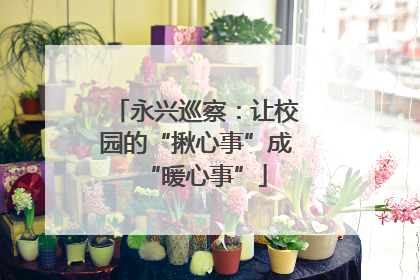 永兴巡察：让校园的“揪心事”成“暖心事”