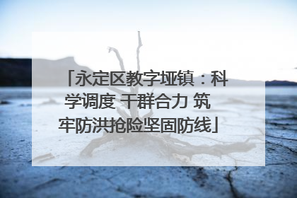永定区教字垭镇：科学调度 干群合力 筑牢防洪抢险坚固防线