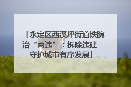 永定区西溪坪街道铁腕治“两违”：拆除违建 守护城市有序发展