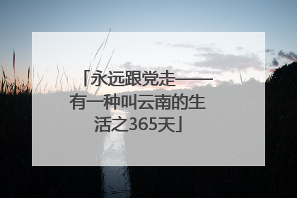永远跟党走——有一种叫云南的生活之365天