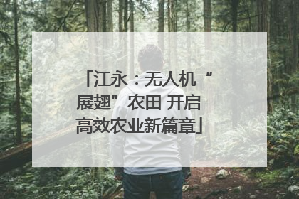 江永：无人机“展翅”农田 开启高效农业新篇章