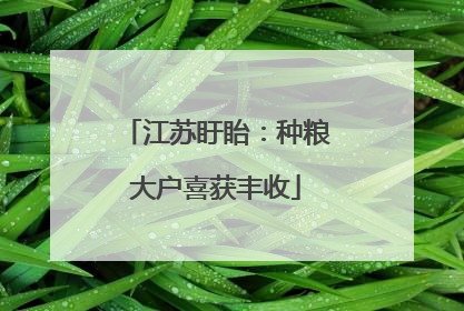 江苏盱眙：种粮大户喜获丰收