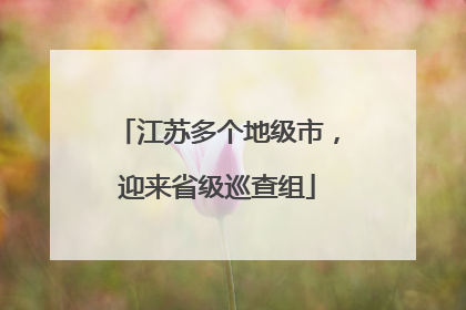 江苏多个地级市，迎来省级巡查组