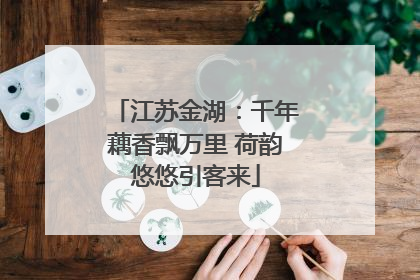 江苏金湖：千年藕香飘万里 荷韵悠悠引客来