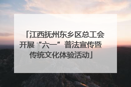 江西抚州东乡区总工会开展“六一”普法宣传暨传统文化体验活动
