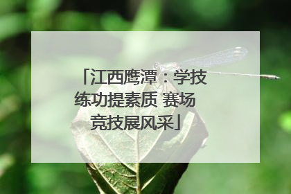 江西鹰潭：学技练功提素质 赛场竞技展风采
