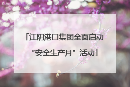江阴港口集团全面启动“安全生产月”活动