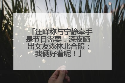 汪峰称与宁静牵手是节目需要，深夜晒出女友森林北合照：我俩好着呢！
