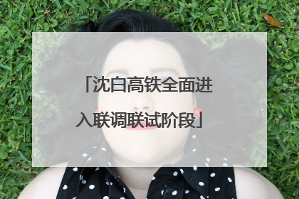 沈白高铁全面进入联调联试阶段