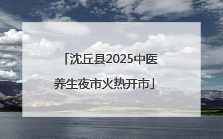 沈丘县2025中医养生夜市火热开市