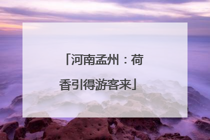 河南孟州：荷香引得游客来