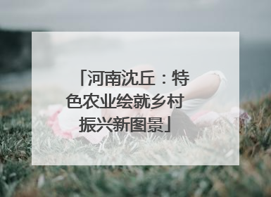 河南沈丘：特色农业绘就乡村振兴新图景