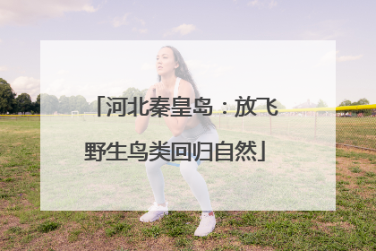 河北秦皇岛：放飞野生鸟类回归自然