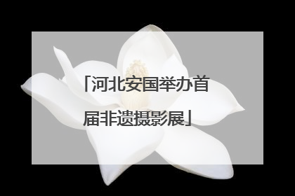 河北安国举办首届非遗摄影展
