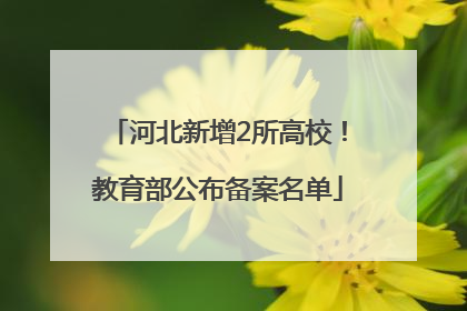 河北新增2所高校！教育部公布备案名单