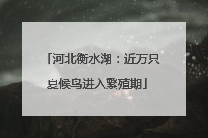 河北衡水湖：近万只夏候鸟进入繁殖期