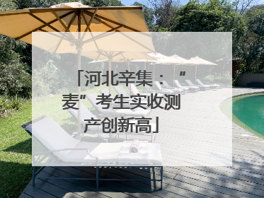 河北辛集：“麦”考生实收测产创新高