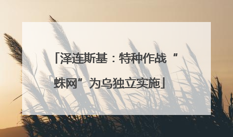 泽连斯基：特种作战“蛛网”为乌独立实施