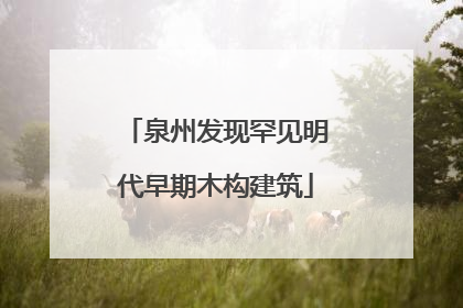 泉州发现罕见明代早期木构建筑
