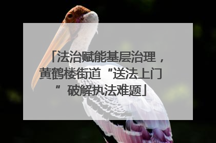 法治赋能基层治理，黄鹤楼街道“送法上门”破解执法难题