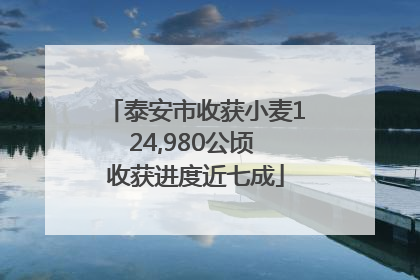 泰安市收获小麦124,980公顷 收获进度近七成