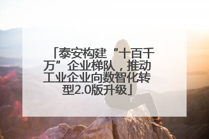 泰安构建“十百千万”企业梯队，推动工业企业向数智化转型2.0版升级