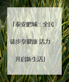 泰安肥城：全民徒步享健康 活力开启新生活