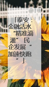 泰安：金融活水“精准滴灌” 民企发展“加速快跑”