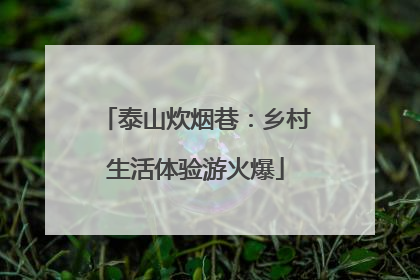 泰山炊烟巷：乡村生活体验游火爆