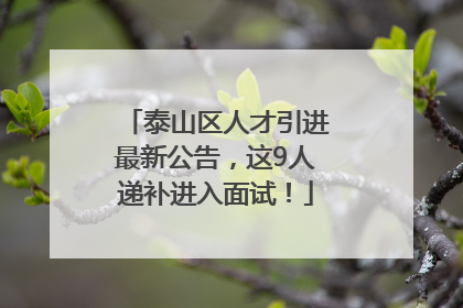 泰山区人才引进最新公告，这9人递补进入面试！