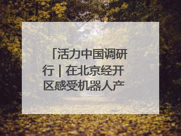 活力中国调研行｜在北京经开区感受机器人产业创新发展