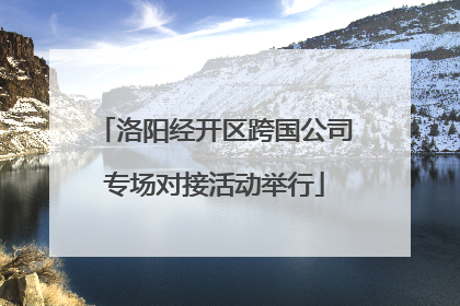 洛阳经开区跨国公司专场对接活动举行