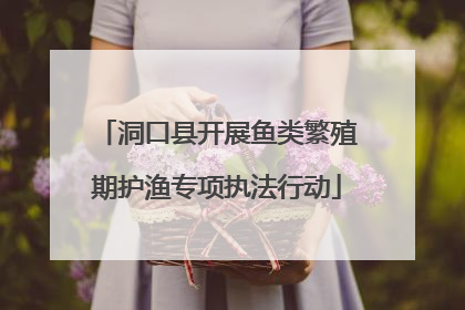 洞口县开展鱼类繁殖期护渔专项执法行动