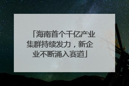 海南首个千亿产业集群持续发力，新企业不断涌入赛道