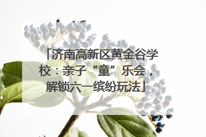 济南高新区黄金谷学校：亲子“童”乐会，解锁六一缤纷玩法