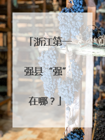 浙江第一强县“强”在哪？