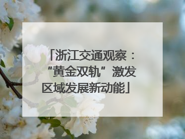 浙江交通观察：“黄金双轨”激发区域发展新动能