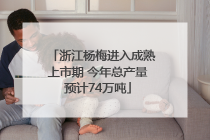浙江杨梅进入成熟上市期 今年总产量预计74万吨