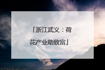 浙江武义：荷花产业助致富
