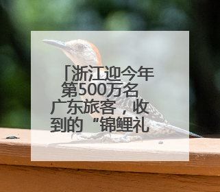 浙江迎今年第500万名广东旅客，收到的“锦鲤礼包”都有啥