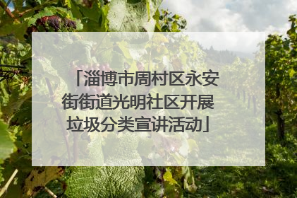 淄博市周村区永安街街道光明社区开展垃圾分类宣讲活动