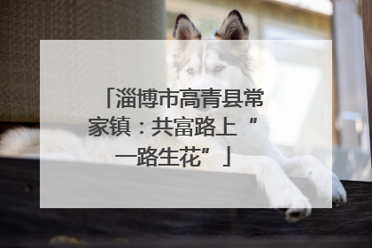 淄博市高青县常家镇：共富路上“一路生花”